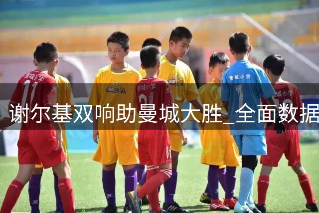 谢尔基双响助曼城大胜 全面数据展现核心价值