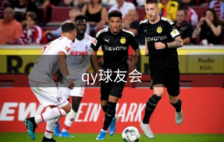 企业布局